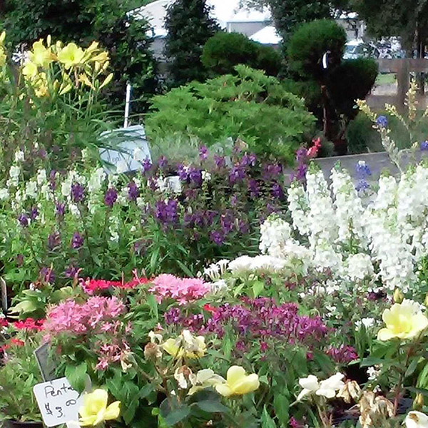 outdoor living spaces 2