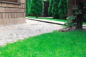 paved sidewalk with green lawn near building in park photo 1