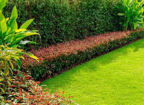 landscape design company pine island tyler fl