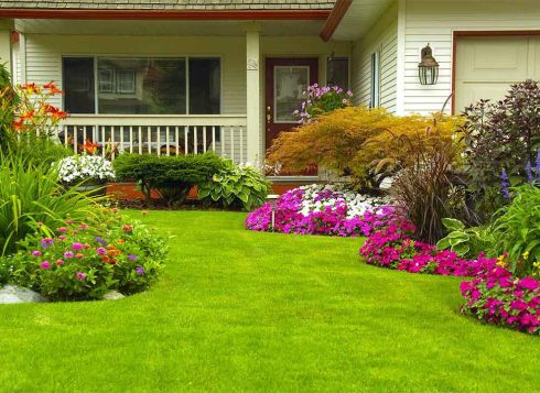 landscape designers grass flowers front yard flint tx landscape designers grass flowers front yard flint tx