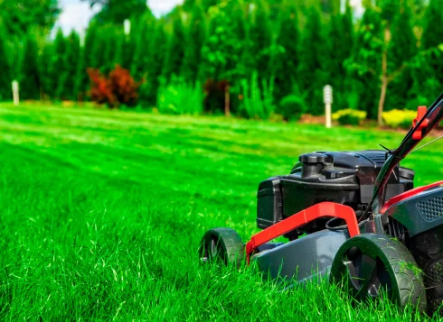 lawn care and maintenance 2