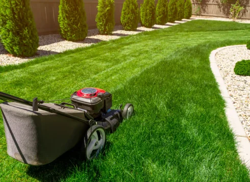 lawn care and maintenance 3