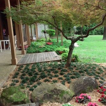 seasonal lawn maintenance white house tx