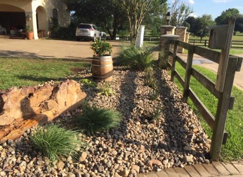 sod landscaping chandler tx